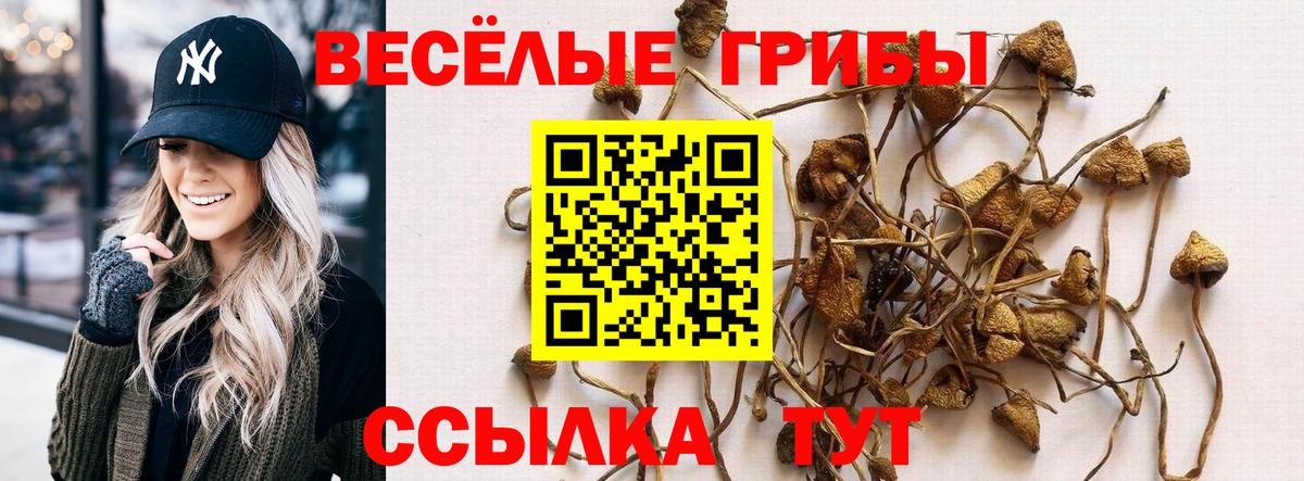 Псилоцибиновые грибы MAGIC MUSHROOMS  Вход с VPN  как найти наркотики  Бутурлиновка 